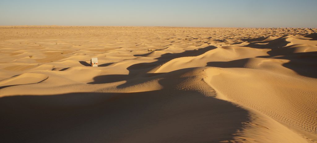 Felix in der Sahara