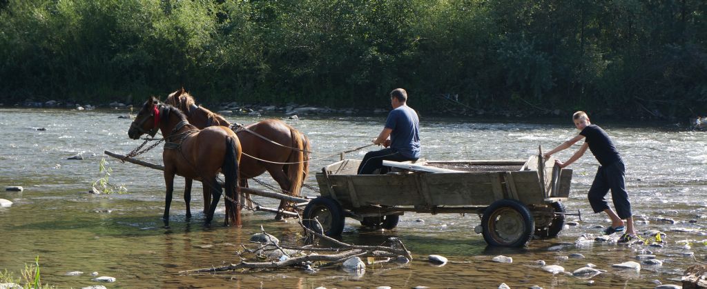 Pferdegespann im Fluss